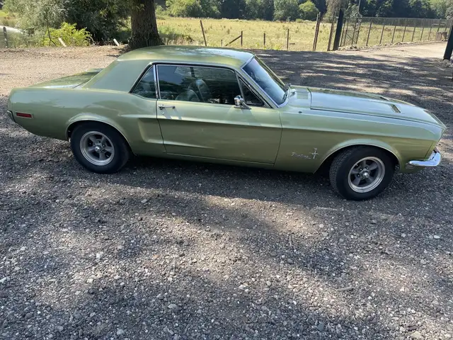 Ford Mustang view 4