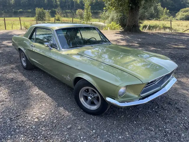 Ford Mustang view 2