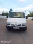 Nissan Interstar Bus 2.5 9pl. L1H1 3175 - thumbnail 4