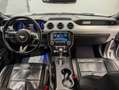 Ford Mustang V8 GT Xenon/Navi/Kamera/Leder/SHZ Silber - thumbnail 12