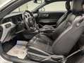 Ford Mustang V8 GT Xenon/Navi/Kamera/Leder/SHZ Silber - thumbnail 9