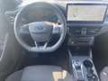 Ford Focus Turnier 1,5 EcoBlue ST-Line Aut. Rot - thumbnail 9