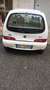 Fiat 600 600 III 2005 1.1 50th Anniversary Bianco - thumbnail 3