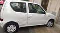 Fiat 600 600 III 2005 1.1 50th Anniversary Bianco - thumbnail 2
