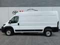 Toyota Proace Max Max 110 kWh L3H2 Heavy Meister, AWR, *Gewerbe* Weiß - thumbnail 2