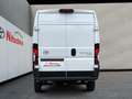 Toyota Proace Max Max 110 kWh L3H2 Heavy Meister, AWR, *Gewerbe* Weiß - thumbnail 4
