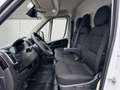 Toyota Proace Max Max 110 kWh L3H2 Heavy Meister, AWR, *Gewerbe* Weiß - thumbnail 9