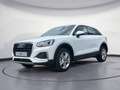Audi Q2 advanced 30 TFSI 85(116) kW(PS) Schaltgetrieb Weiß - thumbnail 2