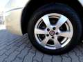 Fiat Scudo Panorama Family L2H1 130 Multijet 8Sitzer Beige - thumbnail 13