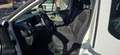 Renault Trafic T27 1.6 dCi 120CV S&S PL-TN Intens Bianco - thumbnail 5