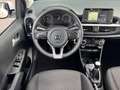 Kia Picanto 1.0 CVVT FIRST EDITION I CRUISE CONTROL I NAVIGATI Wit - thumbnail 5