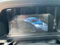 Ford Ranger XLT 4x4 AT *AHK*WANNE* Rot - thumbnail 12