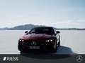 Mercedes-Benz SL 43 AMG TOP- Ausstattung Rood - thumbnail 8