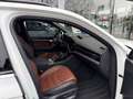 Volkswagen Touareg R-Line 3.0 TDI LED AHK HUD Pano Dynaudio Weiß - thumbnail 12
