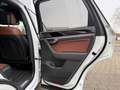 Volkswagen Touareg R-Line 3.0 TDI LED AHK HUD Pano Dynaudio Weiß - thumbnail 11