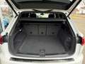 Volkswagen Touareg R-Line 3.0 TDI LED AHK HUD Pano Dynaudio Weiß - thumbnail 8