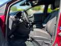 Ford Puma 1.0 HYBRID Aut Vivid Ruby Edition |Massage| Rot - thumbnail 14