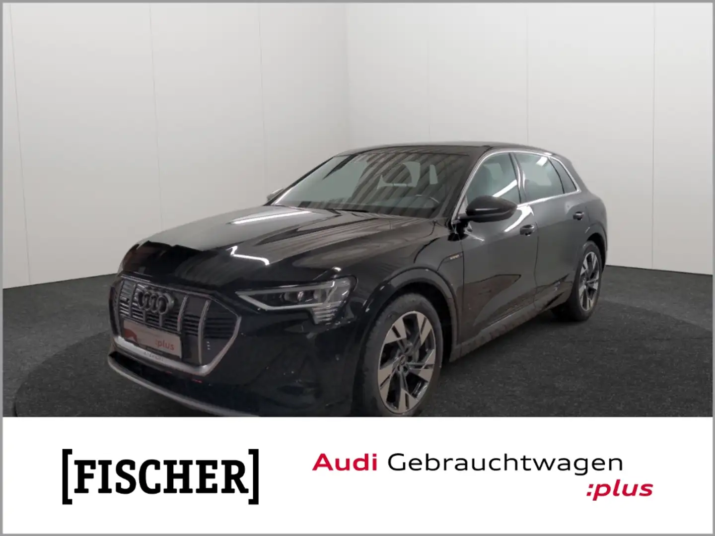 Audi e-tron 50 quattro S line LED Navi SHZ Rear View GRA PDC Schwarz - 1
