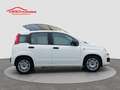 Fiat Panda 1.0 FireFly S&S Hybrid Bianco - thumbnail 5