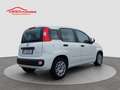 Fiat Panda 1.0 FireFly S&S Hybrid Bianco - thumbnail 4