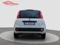 Fiat Panda 1.0 FireFly S&S Hybrid Bianco - thumbnail 12