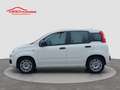 Fiat Panda 1.0 FireFly S&S Hybrid Bianco - thumbnail 2