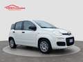 Fiat Panda 1.0 FireFly S&S Hybrid Bianco - thumbnail 6