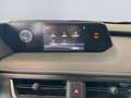Lexus UX 250h Style Edition *Bi-LED*ACC*CAM*SHZ*CarPlay* Schwarz - thumbnail 16