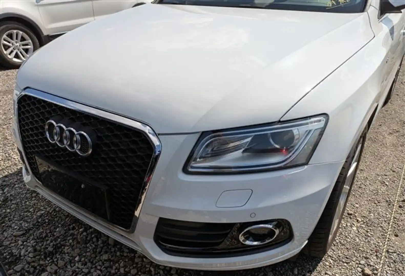 Audi Q5 Q5 2.0 TFSI hybrid quattro tiptronic Weiß - 2