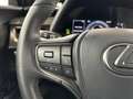 Lexus UX 250h Executive Line Gris - thumbnail 26