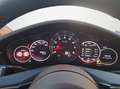 Porsche Panamera 1.HAND/KREIDE/NAV/360KAM/APPLE/ACC Grau - thumbnail 13