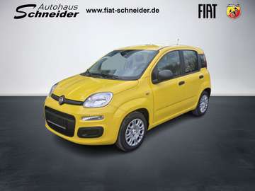 Pandina 1.0 GSE Hybrid ICON