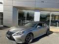 Lexus RC 300h 300h F SPORT Executive Gris - thumbnail 18