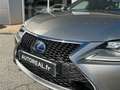 Lexus RC 300h 300h F SPORT Executive Gris - thumbnail 15