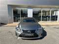 Lexus RC 300h 300h F SPORT Executive Gris - thumbnail 7