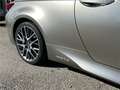 Lexus RC 300h 300h F SPORT Executive Gris - thumbnail 20
