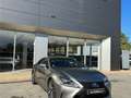 Lexus RC 300h 300h F SPORT Executive Gris - thumbnail 10