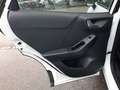 Ford Puma Titanium 1.0 EcoBoost MHEV Ganzjahresreifen Wit - thumbnail 28