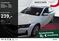 Skoda Octavia Selection 1.5 e-TEC DSG Matrix HUD Leder Navi Weiß - thumbnail 1
