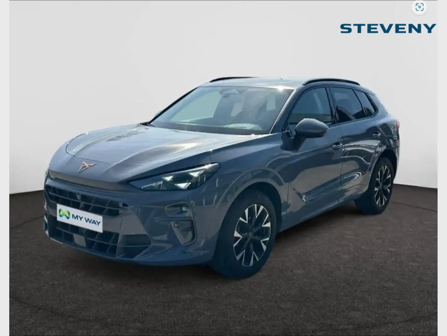CUPRA Terramar Terramar Business 1.5 eTSI 150ch (110kW) DSG 7v Mi Gris - 1