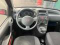Fiat Panda 1.1 8V Active 1. Hand Zahnriemen Neu Rouge - thumbnail 9