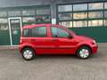 Fiat Panda 1.1 8V Active 1. Hand Zahnriemen Neu Rouge - thumbnail 2