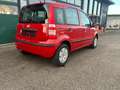 Fiat Panda 1.1 8V Active 1. Hand Zahnriemen Neu Rot - thumbnail 3