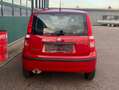 Fiat Panda 1.1 8V Active 1. Hand Zahnriemen Neu Rot - thumbnail 7