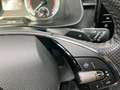 Skoda Scala 1.5 TSI LED+NAVI+SHZ+KAMERA+Full MONTE CARLO LED+N Rot - thumbnail 23
