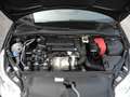 Citroen C4 1.6 HDi 90cv airdream -OK NEOPAT.- UNICO PROPRIET. Nero - thumbnail 13