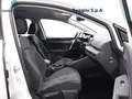 Volkswagen Golf 1.5 tgi style 130cv dsg Weiß - thumbnail 13