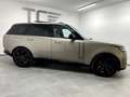 Land Rover Range Rover HSE P440e, Pano, ACC, Sitzklima, ... Gold - thumbnail 17