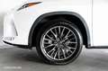 Lexus RX 450h Business Blanc - thumbnail 24