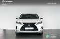 Lexus RX 450h Business Blanc - thumbnail 5